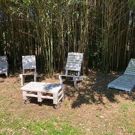 B&B - Chambres D'Hotes Acoucoula オルテズ エクステリア 写真